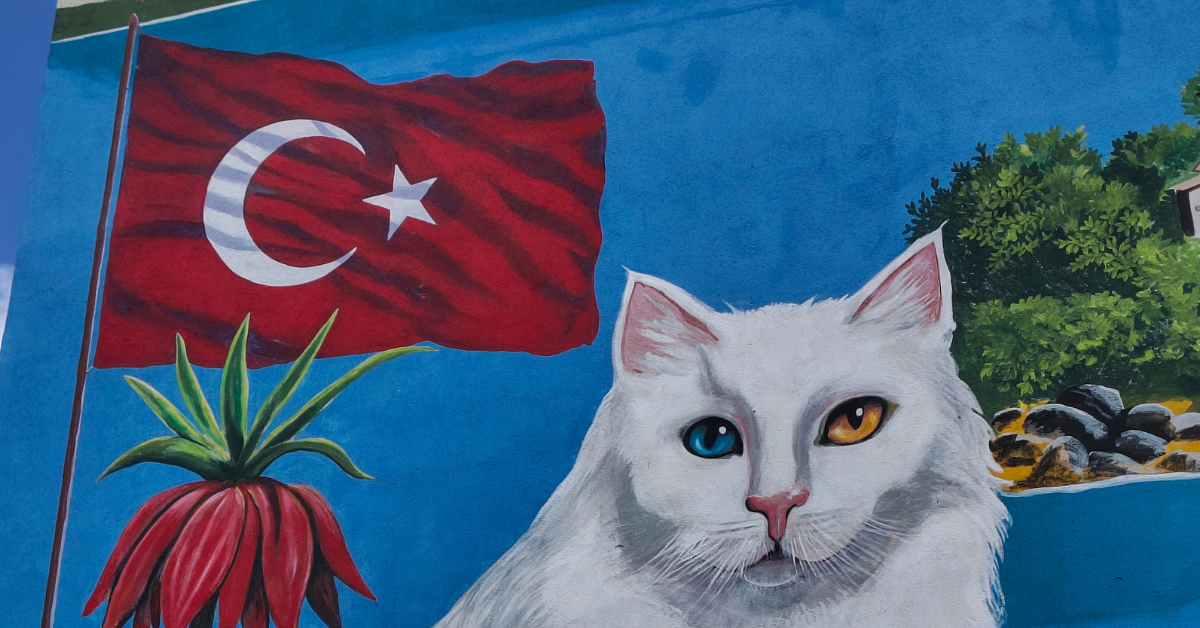 Viaje Allpinismo Turquía Ararat